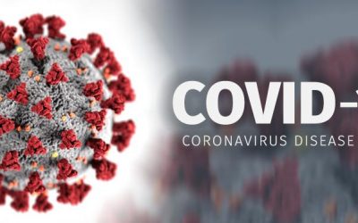 A Sensible and Compassionate Anti-COVID Strategy