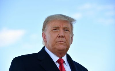 The Trump Referendum, some observations