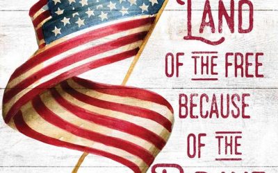 Land of the Free, Because of the Brave
