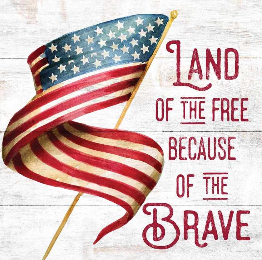 Land of the free BECAUSE of the brave